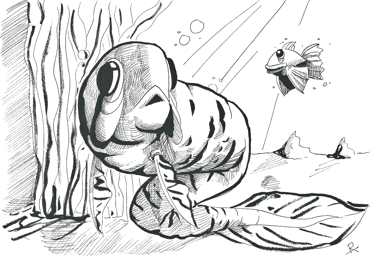 Rückulution DIE FUNZEL